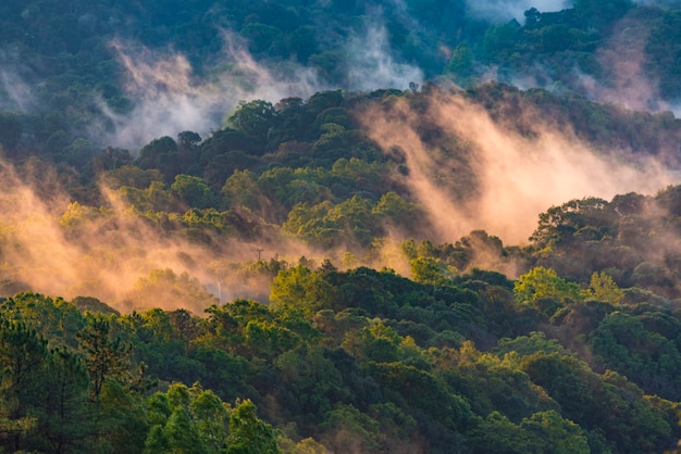 Paysage de belle nature coucher de soleil