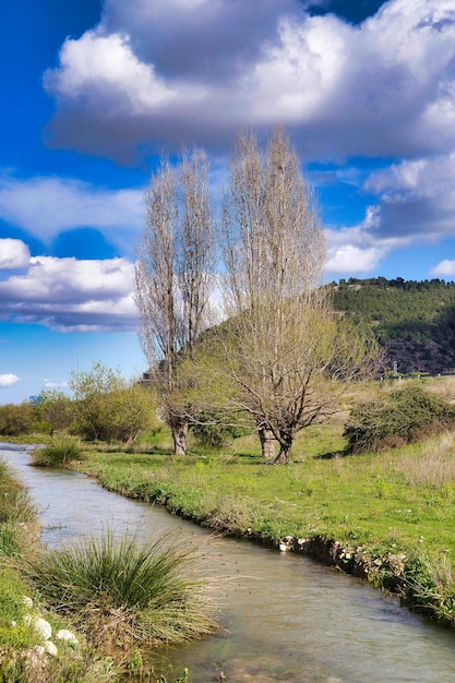 paysage avec belle rivière