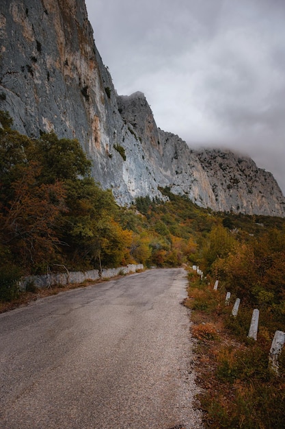 Paysage avec une belle route de montagne vide, de hautes roches, des arbres et un ciel nuageux