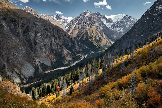 Paysage de belles montagnes