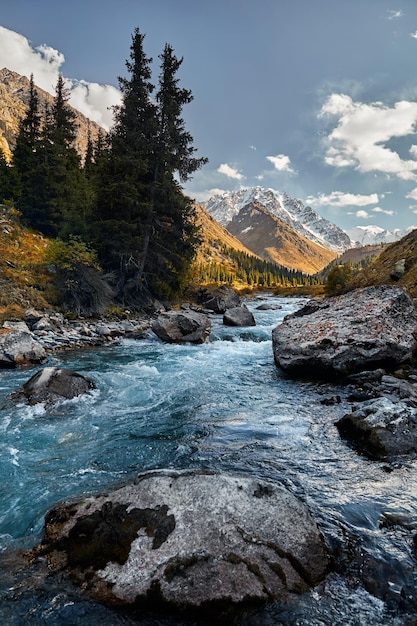 Paysage de belles montagnes