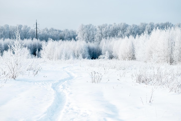 Paysage blanc d'hiver avec un chemin mince dans la congère et la forêt dans le givre à l'horizon