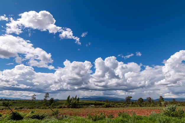 Photo paysage bleu ciel avec des nuages blancs pendant la journée avant de pleuvoir sur l'arrière-plan de la terre de l'agriculture