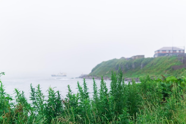 Paysage de bord de mer flou se concentrant sur près de l'herbe