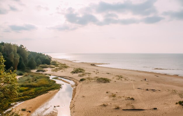 Paysage en bord de mer