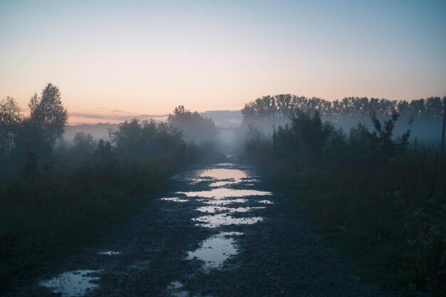 Paysage de brouillard d'été