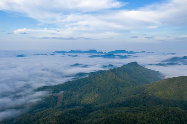 Paysage de brume matinale avec couche de montagne.