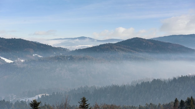 Paysage brumeux d'hiver de la chaîne de montagnes Beski Sadecki