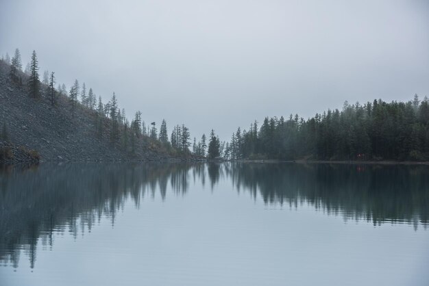 Paysage brumeux méditatif tranquille d'un lac glaciaire avec une réflexion de cimes de sapins pointues tôt le matin EQ graphique de silhouettes d'épinettes sur un horizon calme de lac alpin dans un brouillard mystérieux Lac de montagne fantomatique