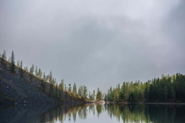 Paysage brumeux méditatif tranquille de lac glaciaire avec réflexion des cimes de sapins pointus tôt le matin EQ graphique des cimes d'épinettes dans la lumière du soleil dorée sur l'horizon du lac alpin dans le brouillard mystérieux Lac de montagne