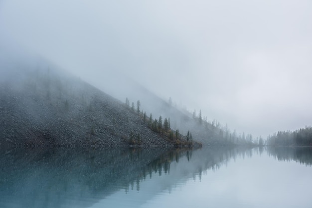 Paysage brumeux méditatif tranquille d'un lac glaciaire avec une réflexion de cimes de sapins pointus tôt le matin EQ graphique de silhouettes d'épinettes sur une colline près d'un lac alpin calme dans un brouillard mystérieux Lac de montagne fantomatique