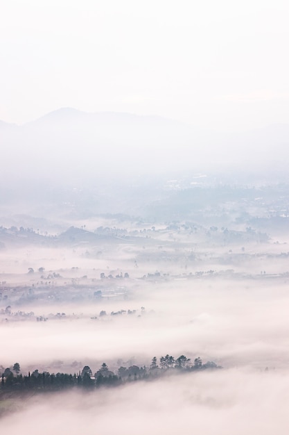 Paysage brumeux situé à Bandung, en Indonésie