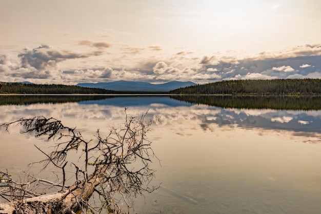 Paysage calme du lac Little Salmon Yukon Canada