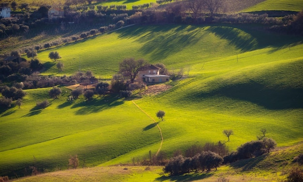 Paysage de campagne champs agricoles verts parmi les collines