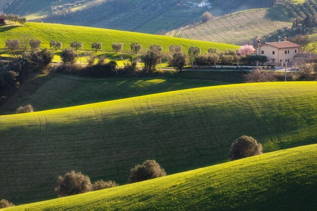 Paysage de campagne champs agricoles verts parmi les collines