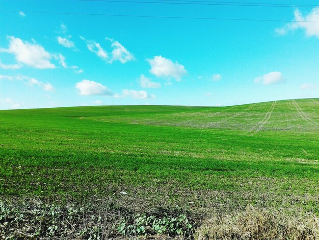 Photo le paysage de la campagne contre le ciel