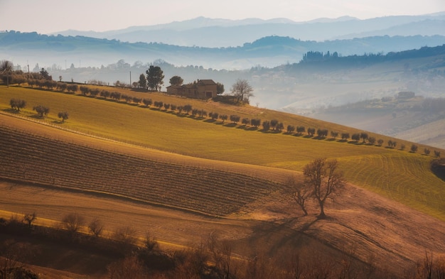 Paysage de campagne dans les champs agricoles d'automne parmi les collines