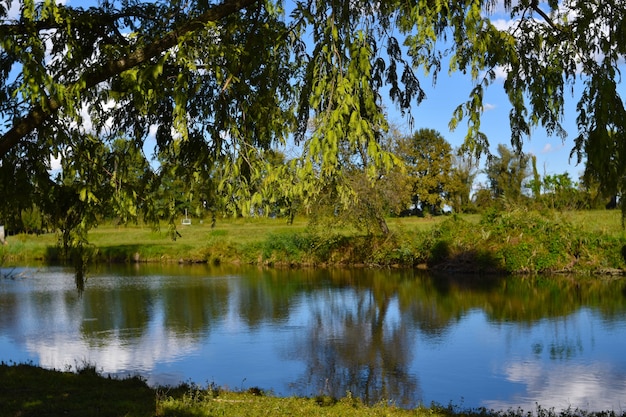 paysage de campagne avec étang