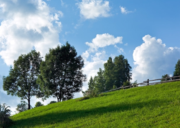 Paysage de campagne d'été avec des arbres sur fond de ciel.