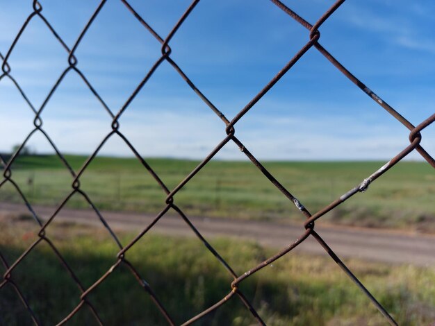 paysage de campagne avec une végétation variée