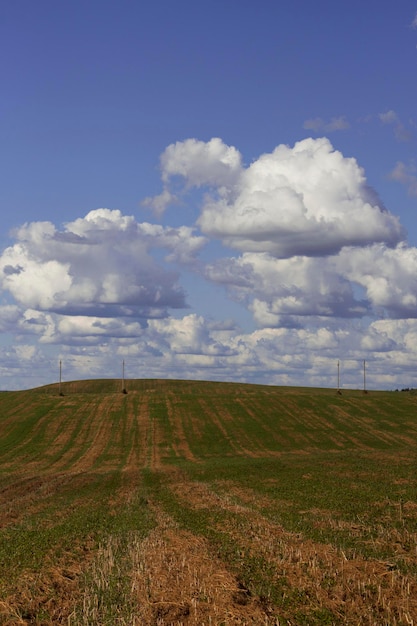 Paysage de campagne vertical avec des champs vides et des nuages duveteux