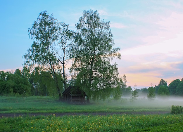 Paysage à la campagne Vue panoramique sur la nature estivale en Lettonie Europe de l'Est