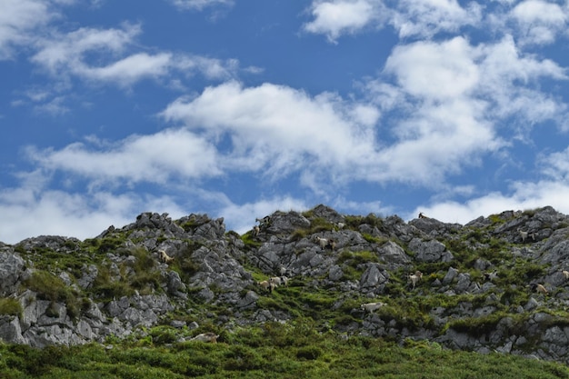 Paysage de Cangas de Onís, Asturias, España