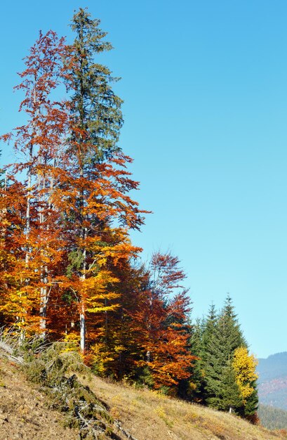 Paysage des Carpates d'automne du matin