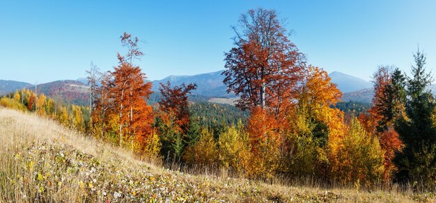 Paysage des Carpates d'automne du matin