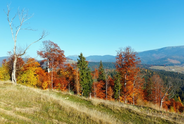 Paysage des Carpates d'automne du matin