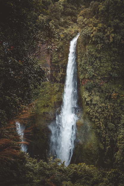 Paysage de la cascade de Tad Fan à Champassak, Pakse, Laos