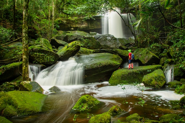 Paysage de la cascade de la Thaïlande belle forêt tropicale au parc national de Phu Kradueng