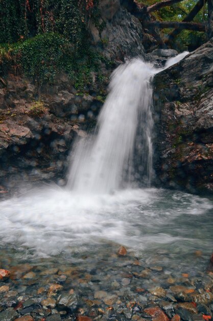 paysage de cascade