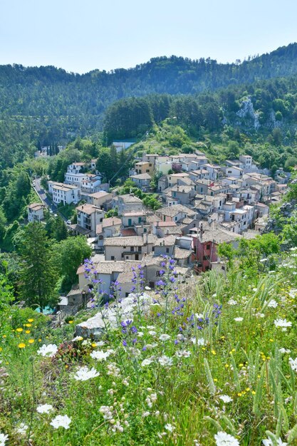 Photo le paysage de cervara di roma, une ville médiévale dans la région du latium italie