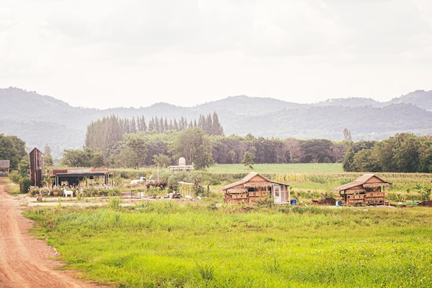 paysage avec chalet de montagne traditionnel et alpages verdoyants en été