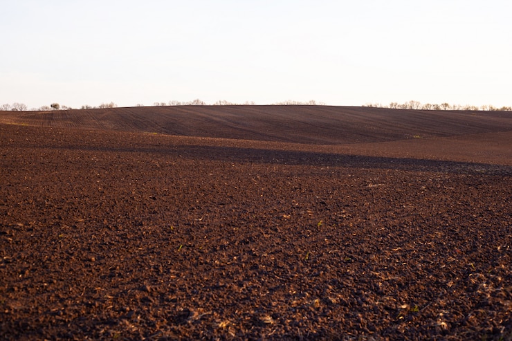 Photo paysage de champ brun vallonné, champ agricole de printemps.