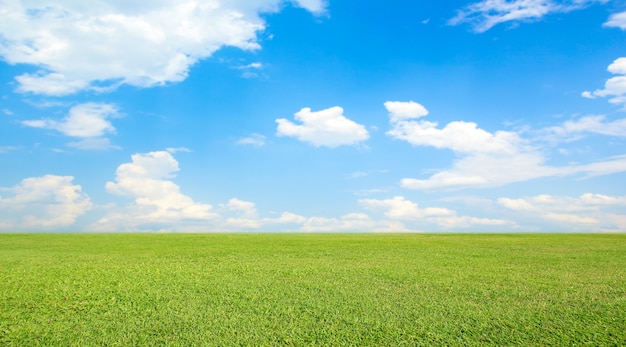 Paysage de champ d'herbe verte et de ciel bleu