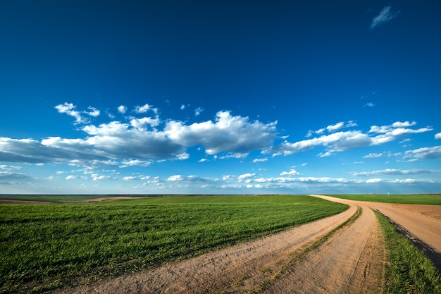 Paysage d'un champ vert et d'un ciel bleu