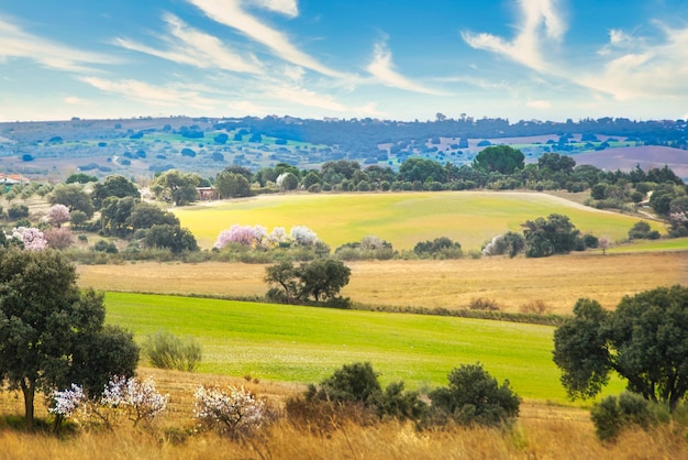 Paysage de champs agricoles secs en hiver.