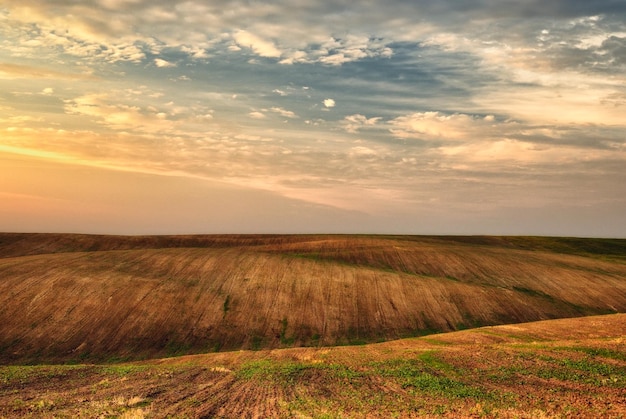 Paysage avec champs et collines