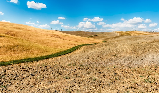 Paysage de champs secs dans la campagne en Toscane, Italie. Concept pour l'agriculture et les terres agricoles