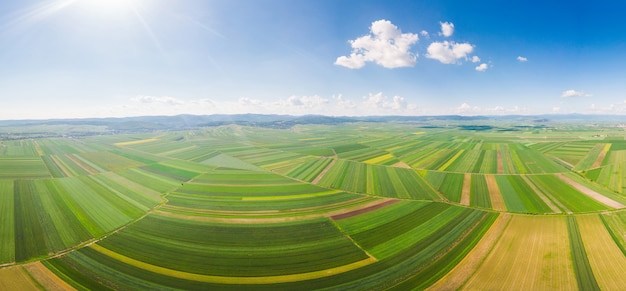 Paysage de champs verts en Roumanie