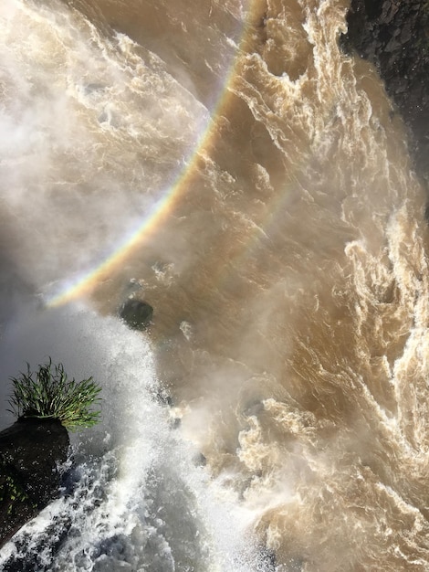 Le paysage des chutes d'Iguazu