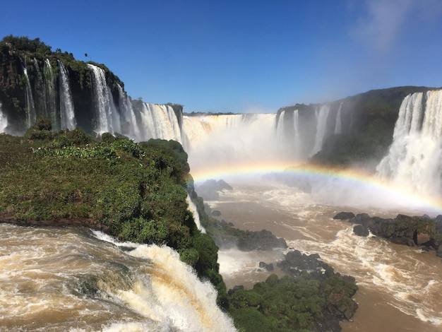 Le paysage des chutes d'Iguazu