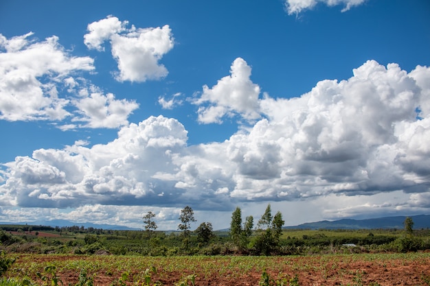 Paysage ciel bleu avec des nuages blancs au cours de la journée sur la nature des terres de l'agriculture