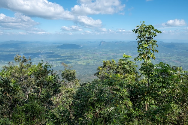 Paysage et ciel bleu