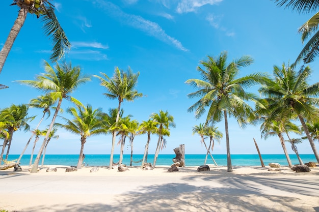 Paysage de cocotier sur une plage tropicale en été