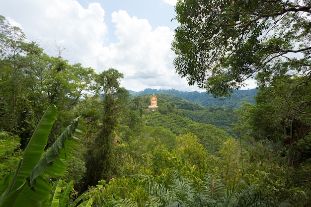 Paysage de colline de forêt tropicale humide