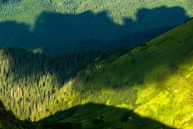 Paysage de collines de montagne d'été