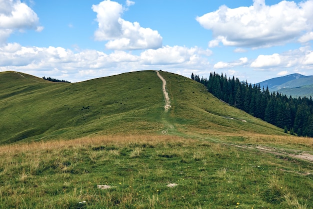 Paysage de collines de montagnes pendant une journée ensoleillée avec des nuages de ciel bleu. Arbres d'automne sombres. Forêt en été. Randonnée dans les montagnes sauvages. Concept de voyage d'aventure.